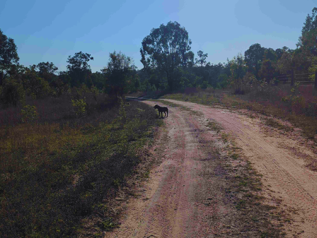 4WD and motorbike-friendly campsites in Childers for off-road adventurers.