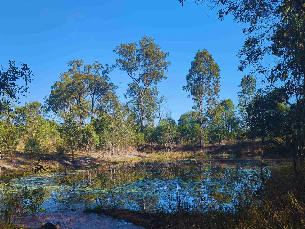 Scenic view of Big Rocks Bush Retreat in Childers, showcasing a peaceful natural setting for rest and relaxation
