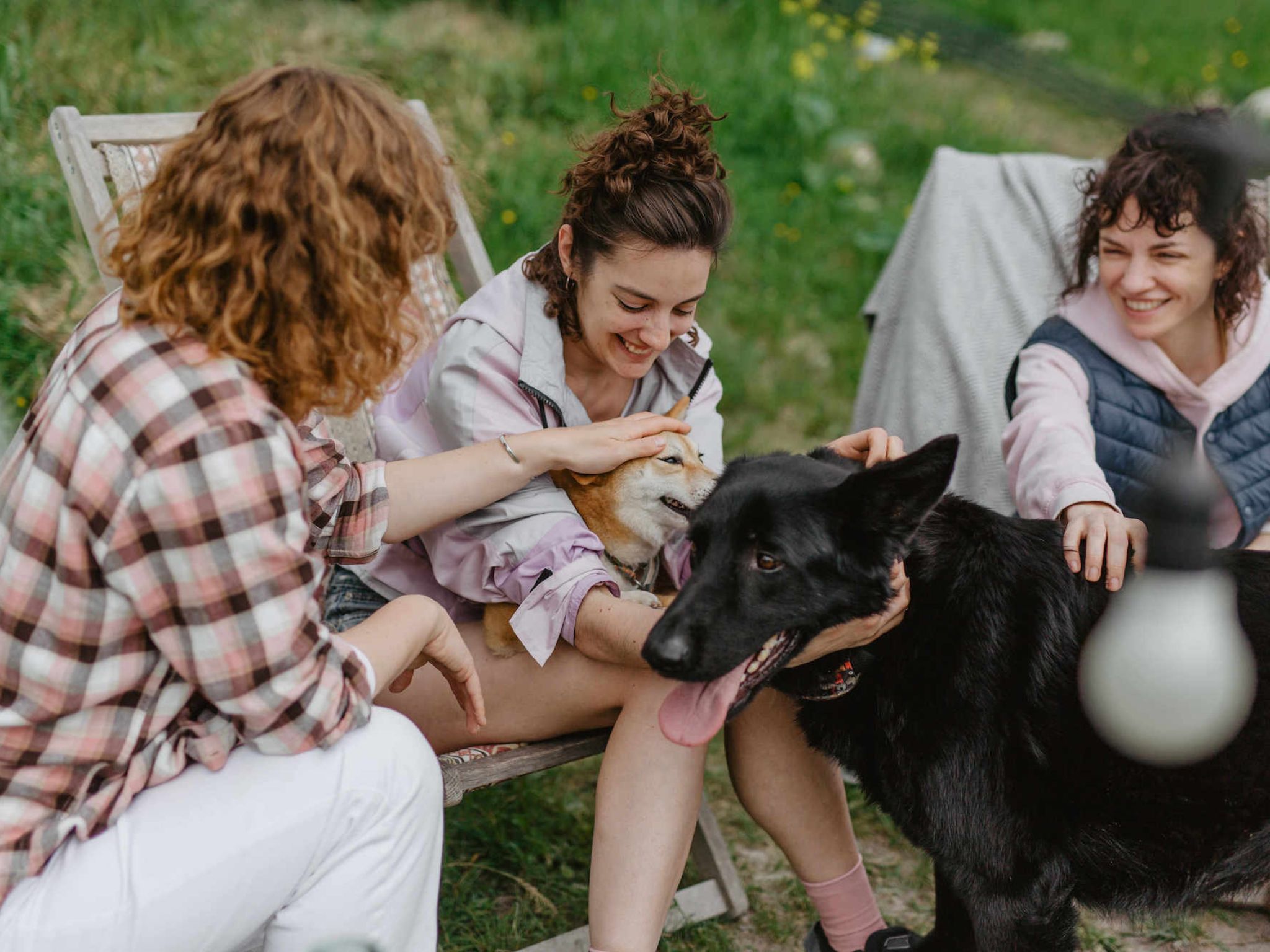 Family camping with their dog at a bush retreat, surrounded by nature