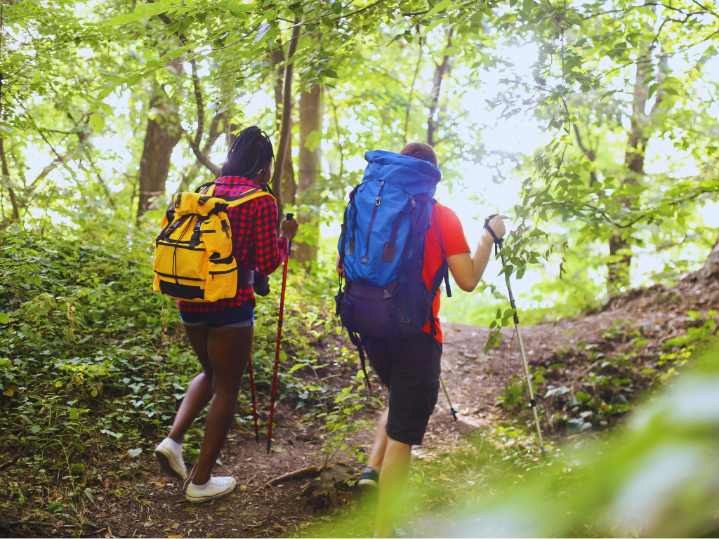A group of hikers trekking along a scenic mountain path with panoramic views of the Australian landscape.