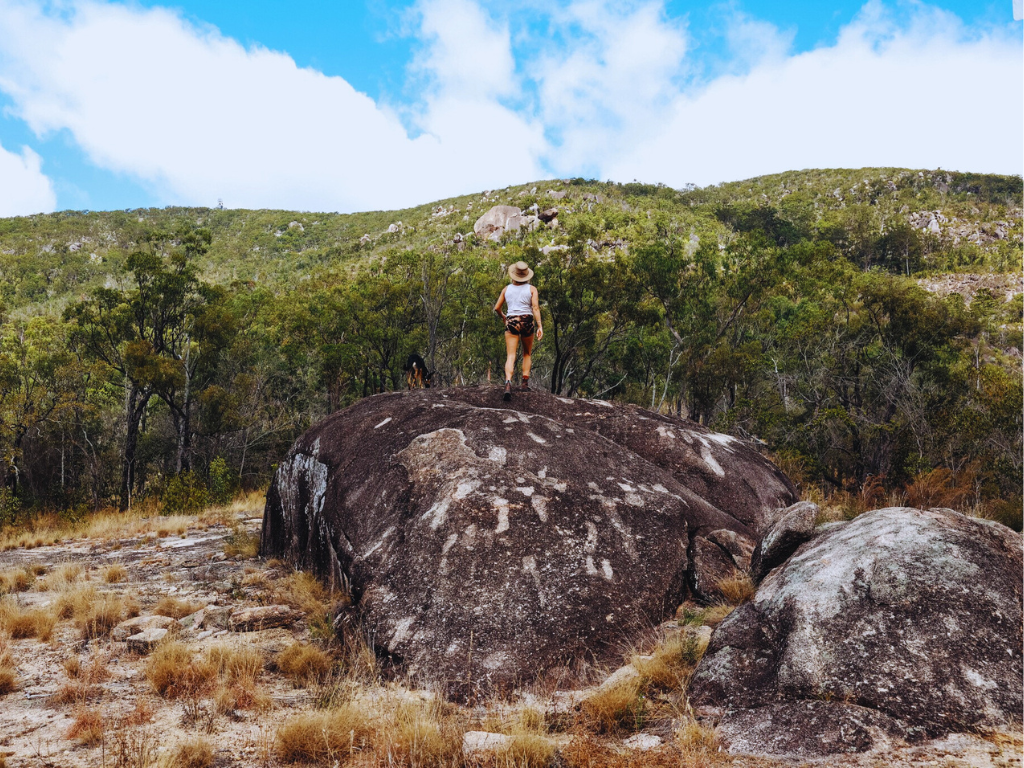 A business team gathered in a peaceful bush setting for a leadership development workshop.