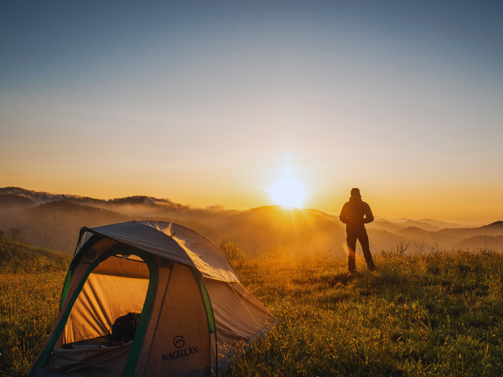 A beautiful camping spot in Childers with ample space for caravans and tents, surrounded by lush greenery.