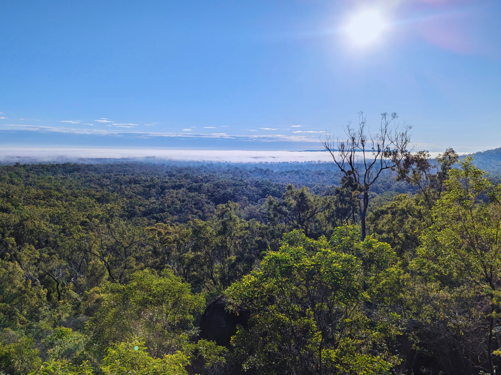 Spacious bush campsites in Childers with plenty of room to enjoy nature.