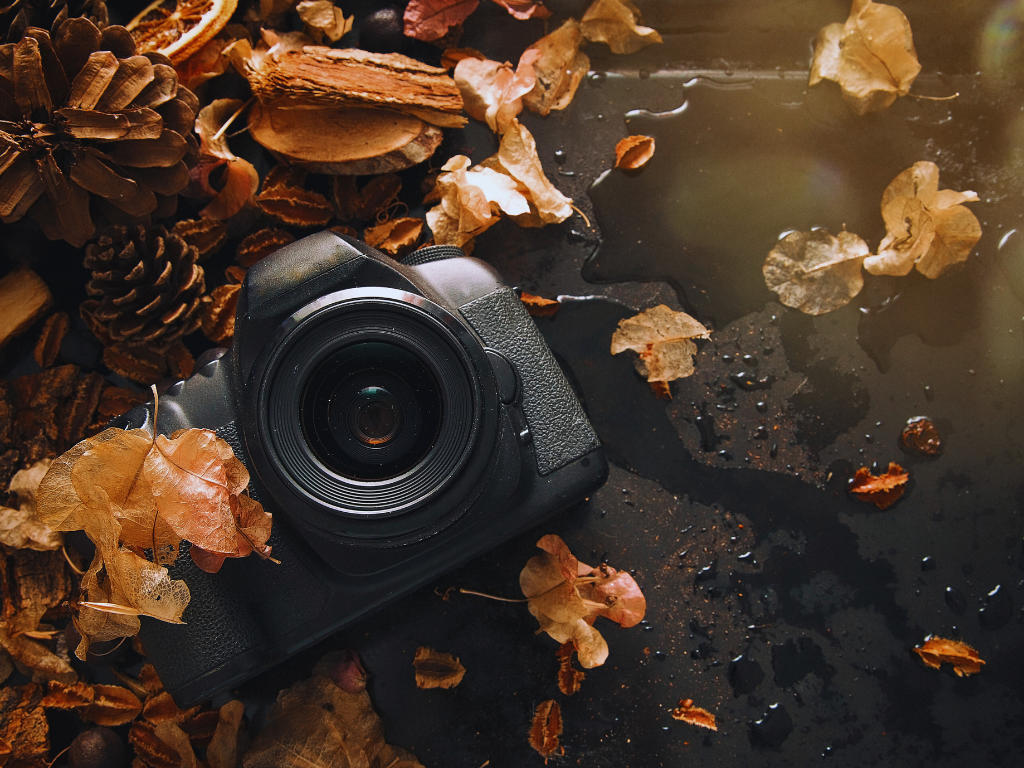 Photographer capturing the golden hues of sunrise over a serene natural landscape.