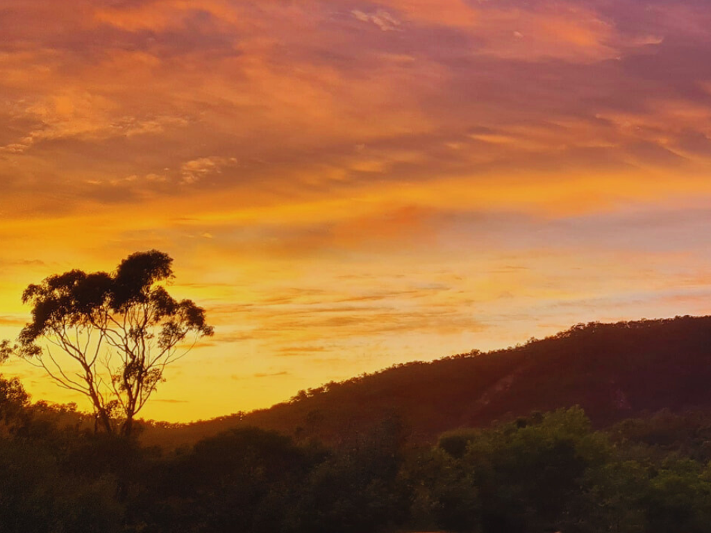 Scenic view of a peaceful bushland retreat surrounded by lush greenery and wildlife.