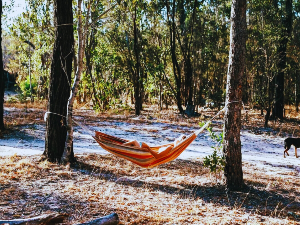A spacious regular campsite in Childers, surrounded by natural bushland, perfect for self-sufficient camping.