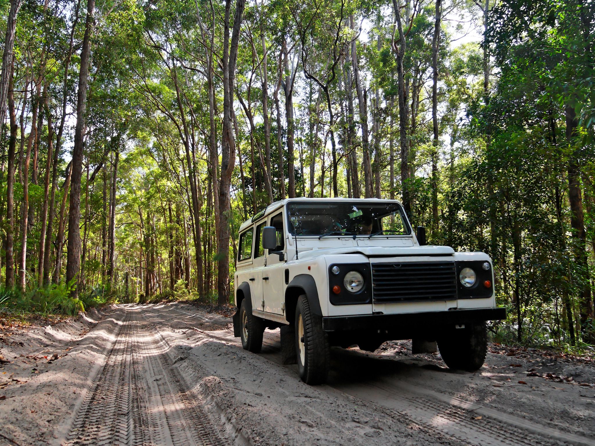 4WD vehicle tracks across rugged terrain, showcasing off-road adventure and exploration.